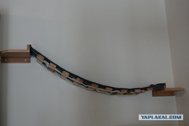 Тренажёр для тыгыдымского кота