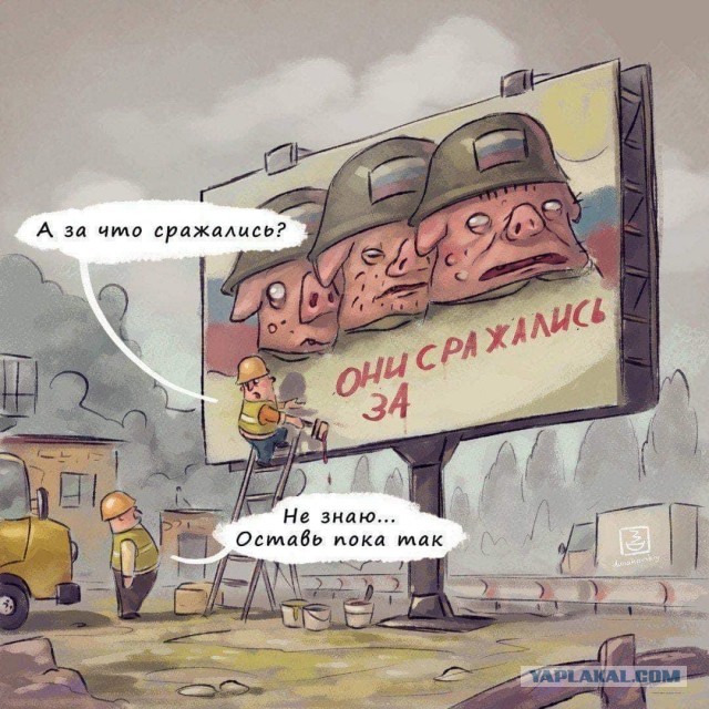 В Перми ветераны СВО выступили за отмену концерта Дианы Арбениной