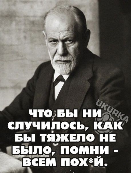 Весёлый полтишок 01.11.23