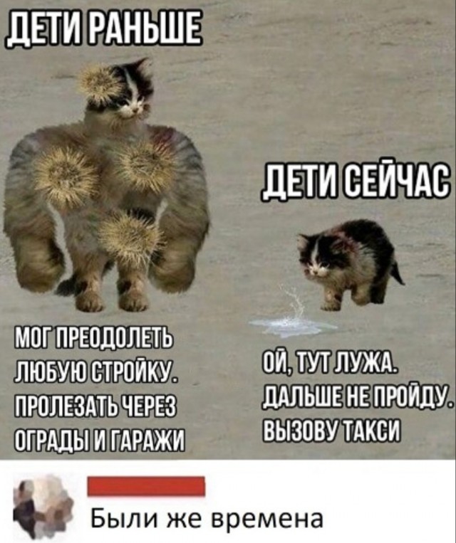 Так себе картинки 20.12.23