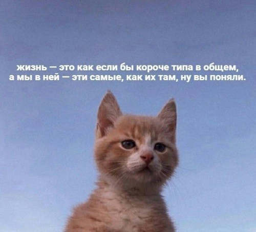 Фотонные двигатели для звездолетов