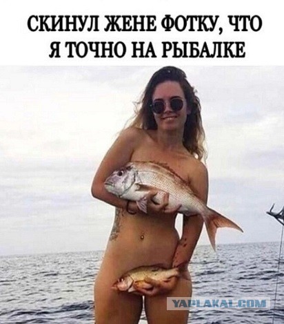 Карась