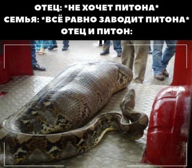Быстрое деградирование
