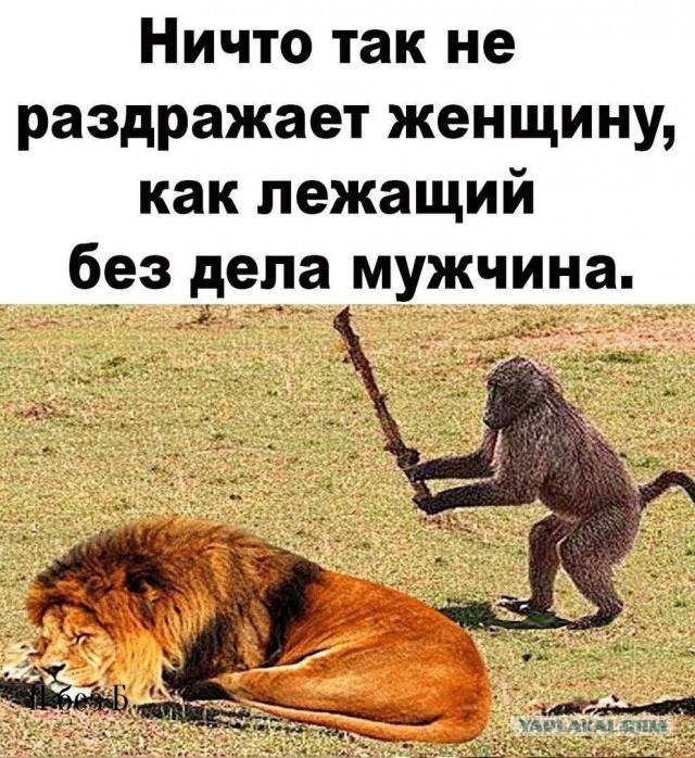 Сборник Баянов