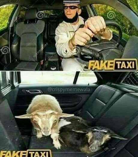 Сеня, дичь!
