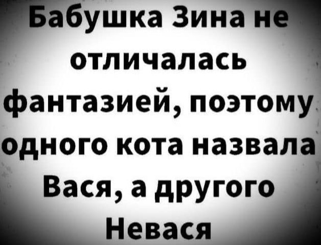 Веселое настроение в картинках (14.07.2025)