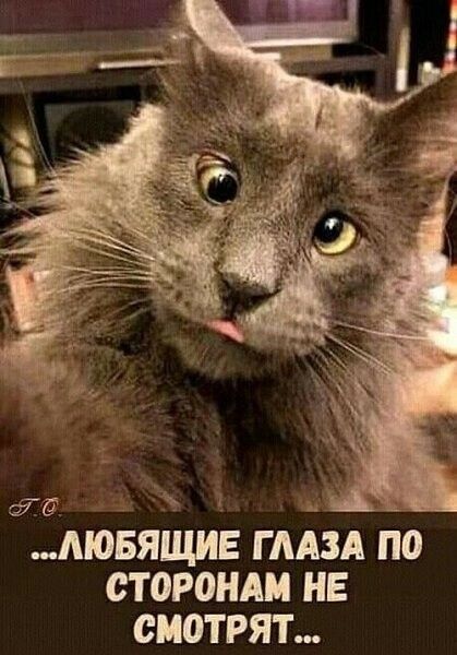 Прикольные и просто красивые картинки 18.07.2025