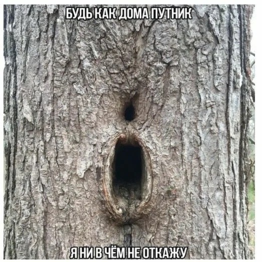 Баян наверно, но прикольный)