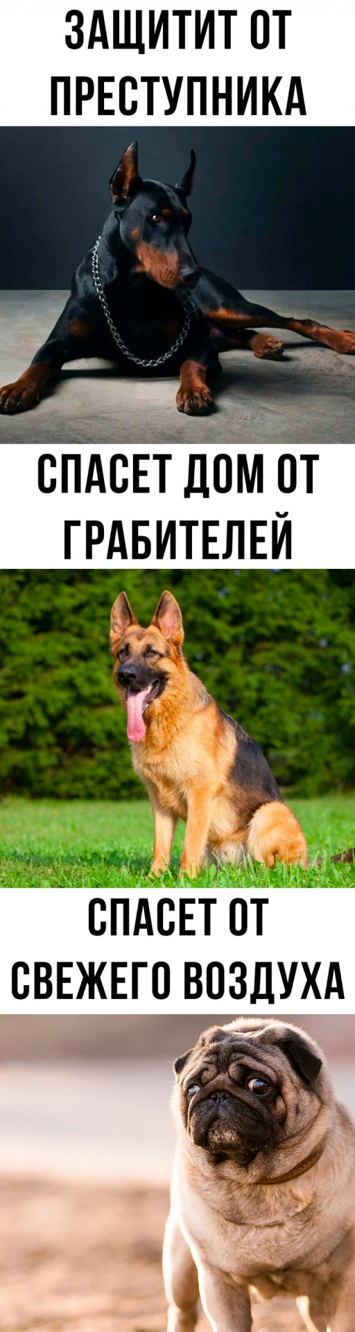 А понедельник то ненастоящий...
