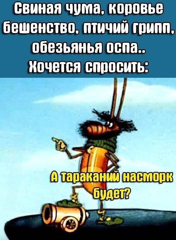 Среды картинки