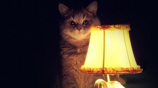 Зализал