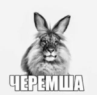 Картинки для деградации 191 (разной степени свежести)