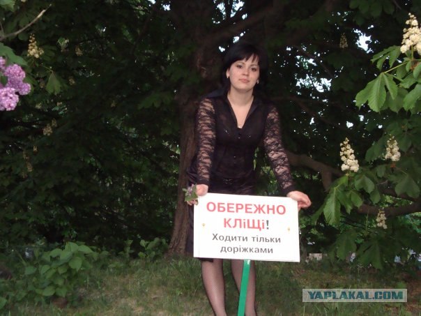 Дикие фото из социальных сетей