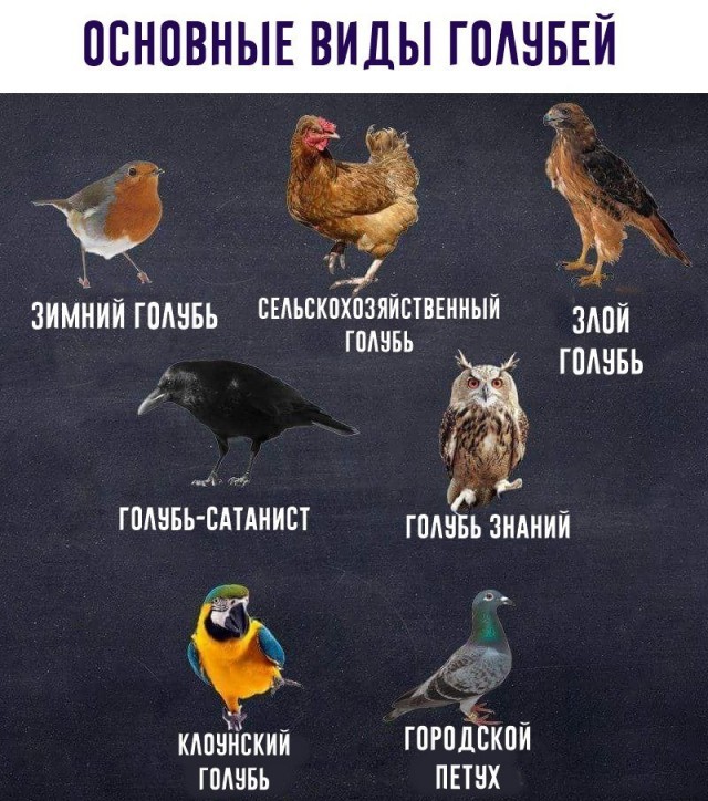 Прикольные и просто красивые картинки 10.07.2026