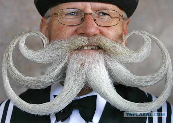 Тысяча чертей - это просто отличные усы!