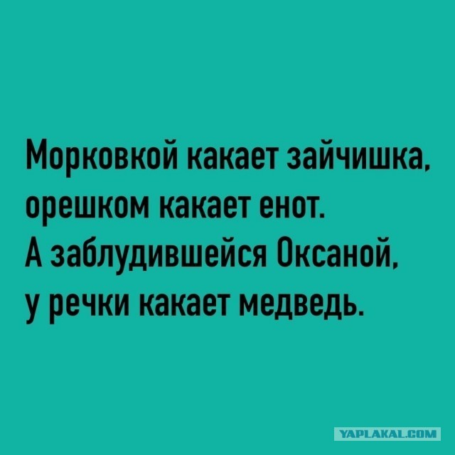 Что будет с вами,при случайной встрече в лесу с бурым медведем.