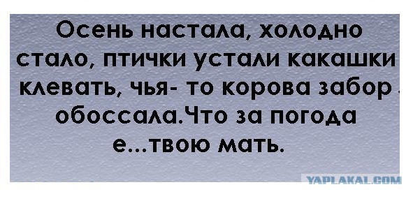 Осень наступила...