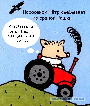 Один год жизни эминранта с России в США