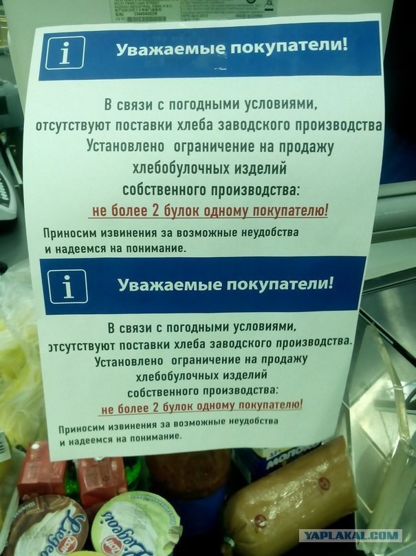 Апокалипсис в Ростове-на-Дону