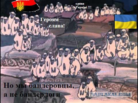 Во Львове паника