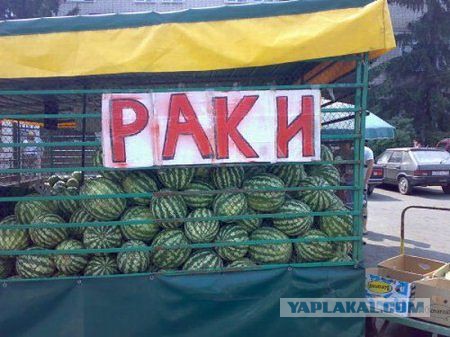 Позитивные картинки