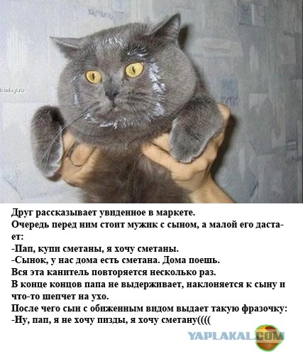 Смешные комментарии из социальных сетей 09.06.14