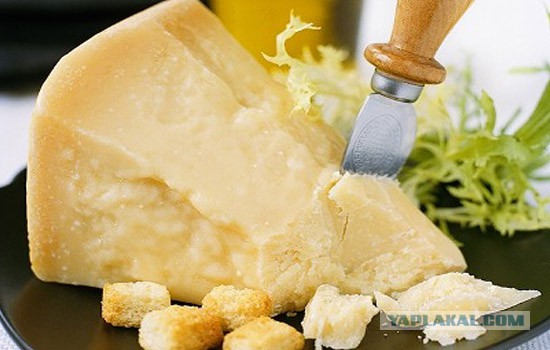 Топ-10 самых вкуснейших сыров в мире