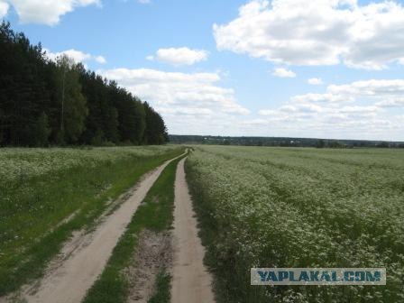 Московская область в огне