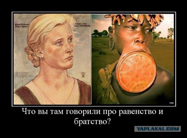 Расизм