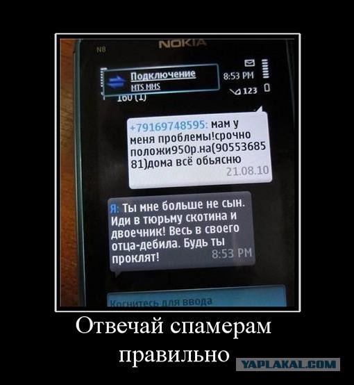 Смешные комментарии из социальных сетей 15.11.14