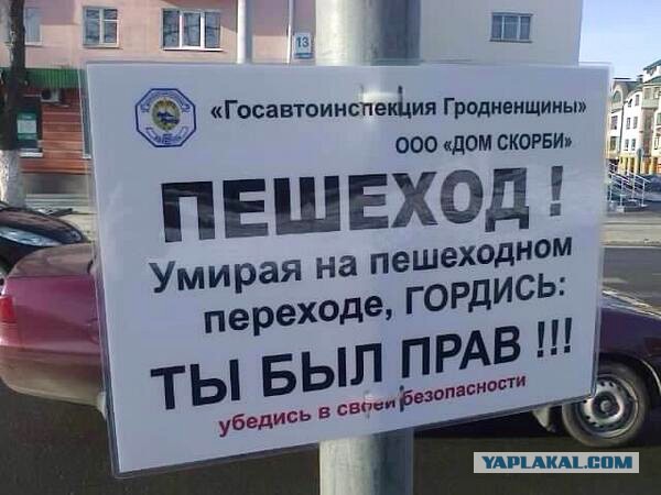 Шоу людского идиотизма