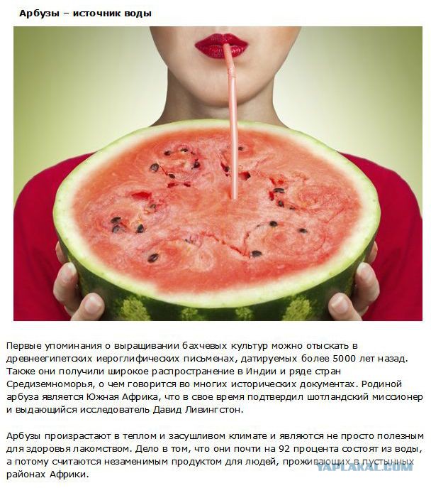 20 фактов обо всем