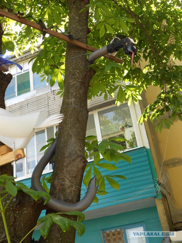 Вторая жизнь мусора или золотые руки