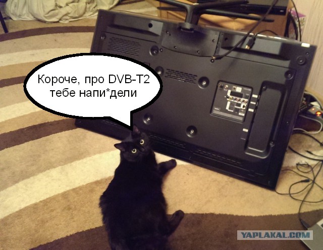36 тысяч коту под хвост....