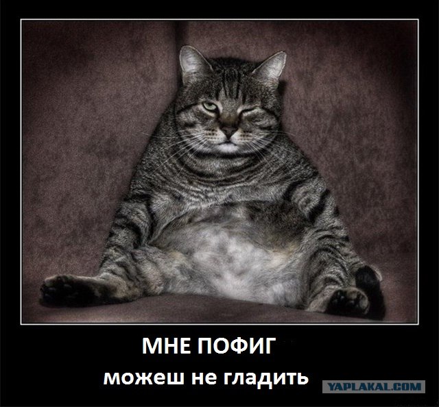 Так кто тут за главного?