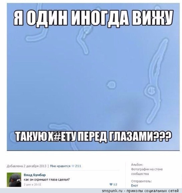Смешные комментарии из социальных сетей