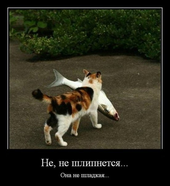 картинки на выходные