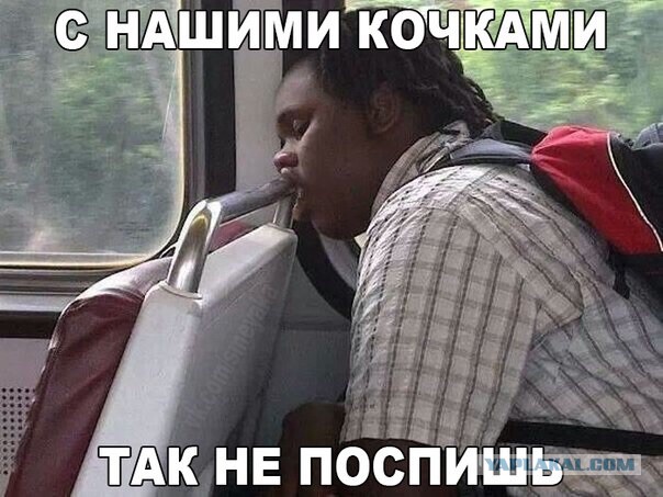 Забавные картинки из Сети