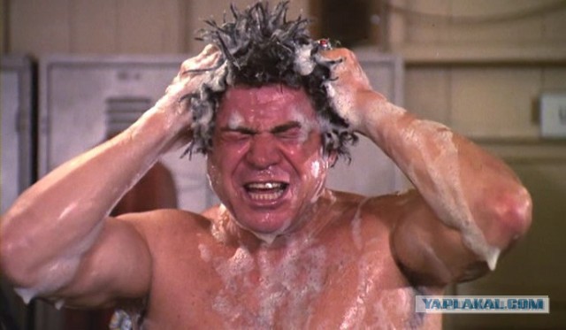 Ваши предположения?