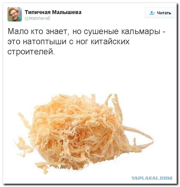 Картинки из сети, бессмысленные и беспощадные