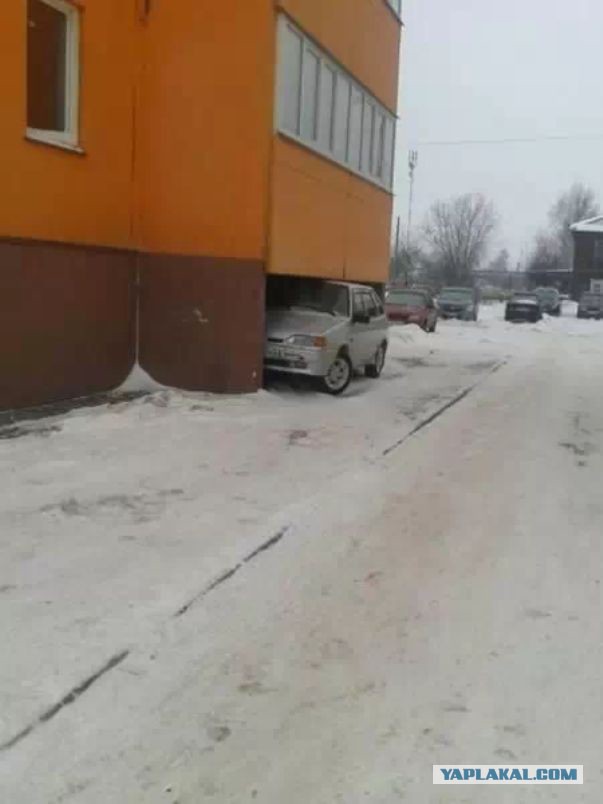 Он опять спрятался под балкон