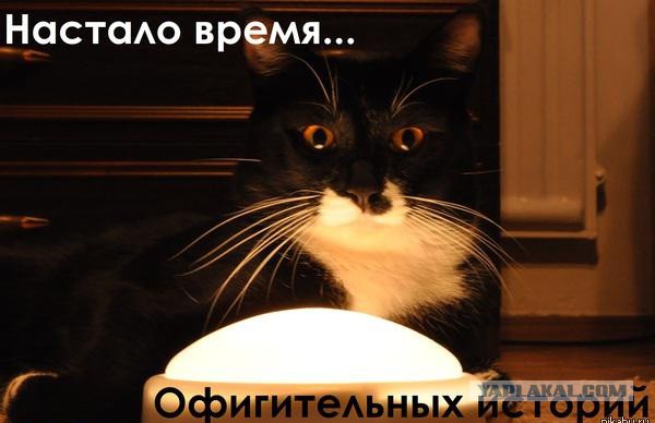 Не сдаваться!