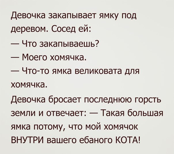 Смешные комментарии из социальных сетей и не только
