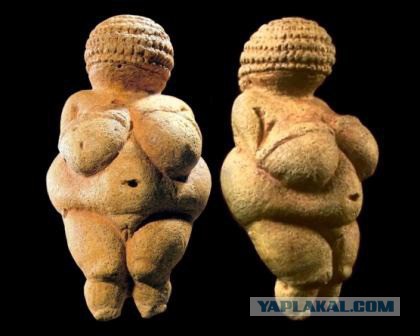 Исследования ЯПовских ученых