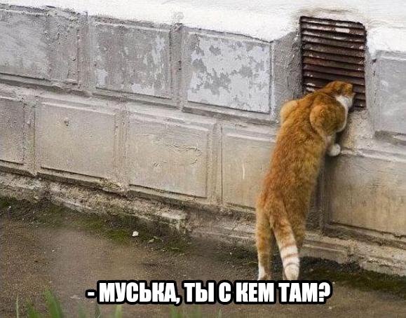 Прикольные животные