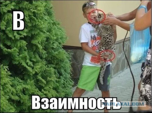 Смешные картинки из сети на 10.10.16