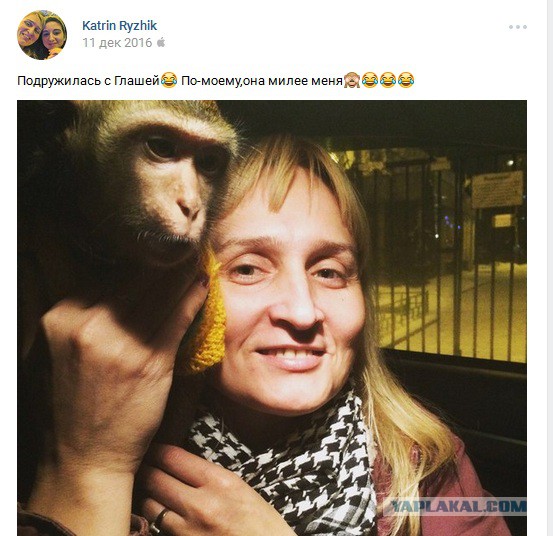 В самом центре Москвы: Путин это война