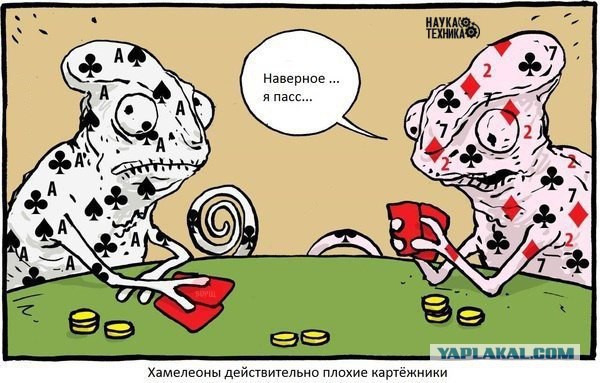 Приколы в стиле "регресс"