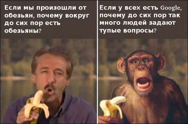 Картинки из инета.
