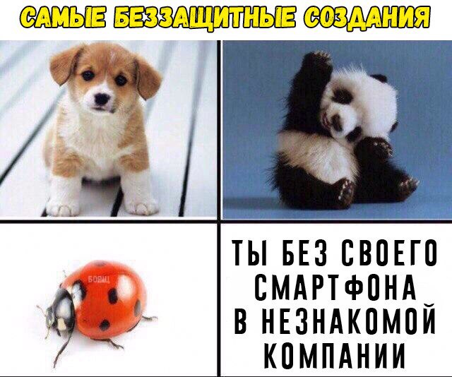 Подборка интересных и веселых картинок
